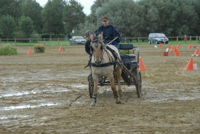 080907 Hippo Berck_309.JPG