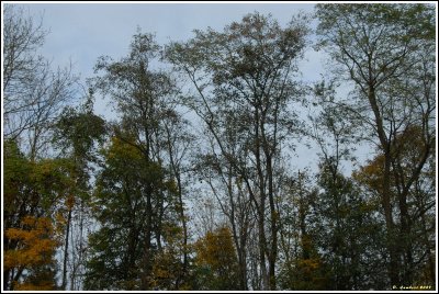g3/40/772040/3/88591138.ms8UXTMj.jpg