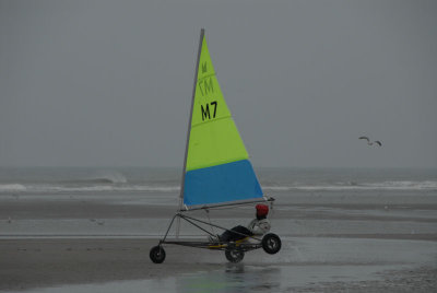 071118 Touq_063.JPG