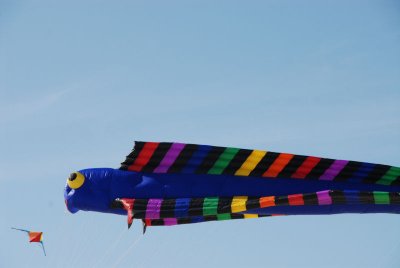 RICV 08 Berck_230.JPG