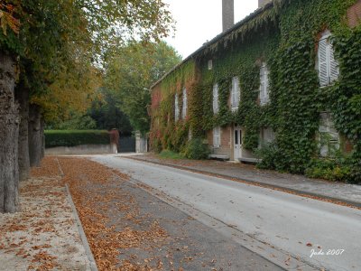 Jode1927_1575recnivacc.jpg