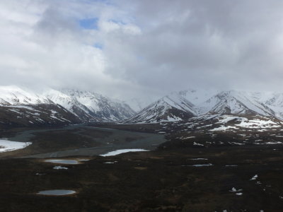 View from Polychrome Pass lookout
