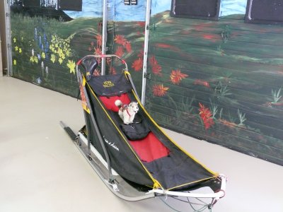 Vern Halter's Iditarod dog sled, at Dream A Dream Kennels in Willow