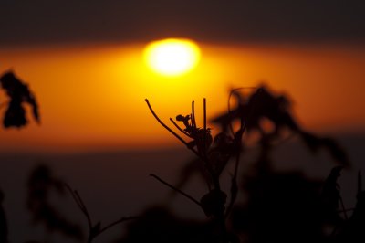 Sunset over the rim of the crater