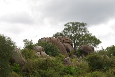 A kopje in the Serengeti