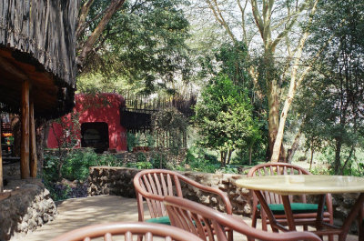 Amboseli Serena Lodge lounge & bar on viewing deck