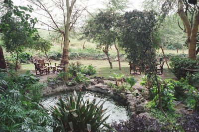 Watering hole at Amboseli Serena Lodge