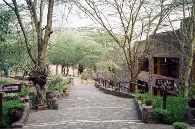 Serengeti Sopa Lodge