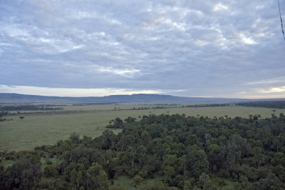 The Mara as seen from above the trees