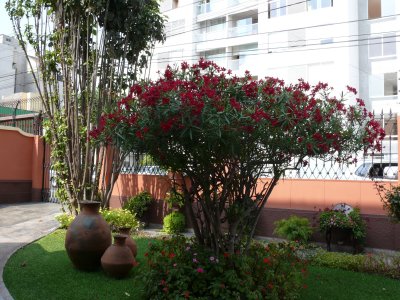 Lovely gardens at the Hotel Antigua in the middle of the highrises