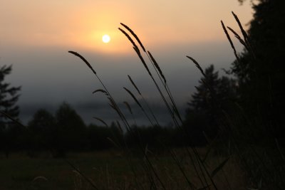 Early morning sunrise from the back pasture