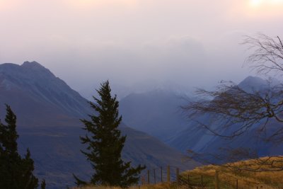 Upper pasture Tasman Downs above Lake Pukaki NZ.JPG