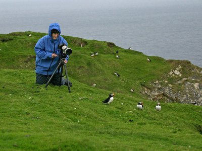 Me and the Puffins