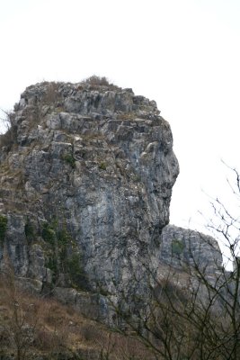 Limestone face