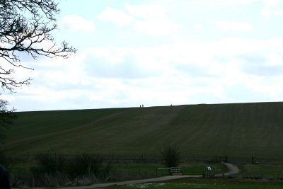 g3/40/825240/3/123072371.ZsxhGjaJ.jpg