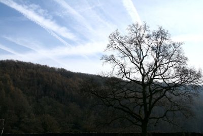 g3/40/825240/3/123073667.hSBX2pro.jpg