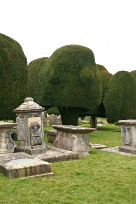 Tombstones and yews