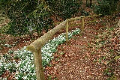 Natural Staircase