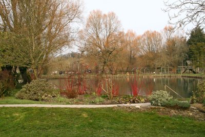 Trout Farm pond