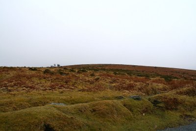 The moor