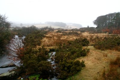 The East Dart River