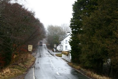 Wild bus escaping into the mist
