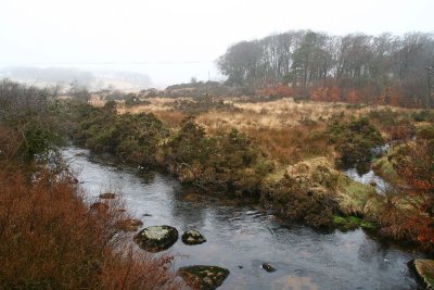 The East Dart River