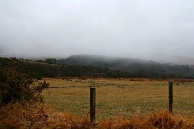 Moor in the mist