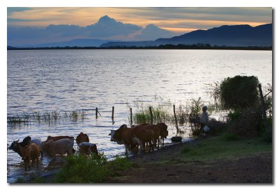 Atardecer en el lago Chamo  -  Sunset in Chamo lake