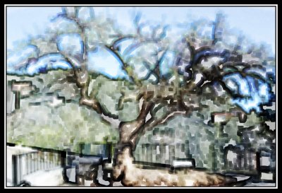 Acuarela arbol  -  Tree watercolor