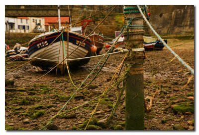 Barcas de Pesca - Fishing Boats