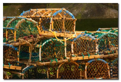 Cestas para la pesca de langosta - Lobster fishing baskets