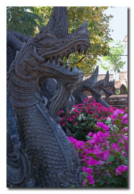 Dragones en un templo  -  Dragons in a temple