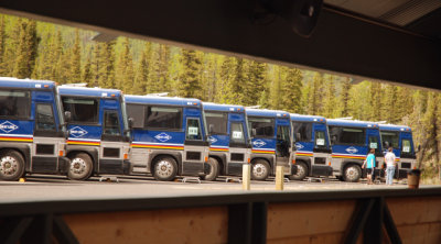 tour buses