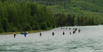 salmon fishing, upper Kenai River