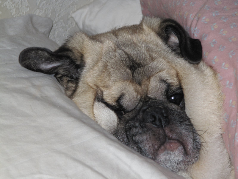 Barnum doing what he does best...