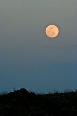 The moon in all it's glory shines down on the Chihuahuan  Desert.
