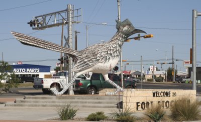 Everything is bigger in Texas... even the roadrunners!