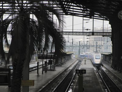Palm trees in the train station?  Pourquoi?