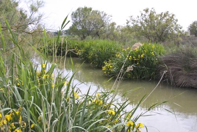 So... we head on down the road toward the Camargue, our ultimate destination.