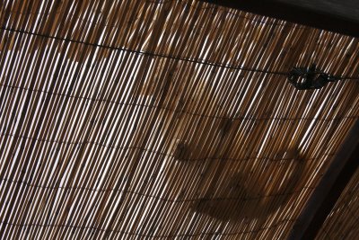 the local cat keeps an eye on us from the reed roof...