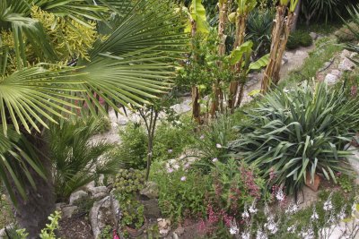 How to garden on a steep, narrow hillside...