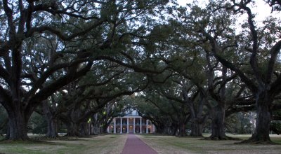  Oak Alley Plantation