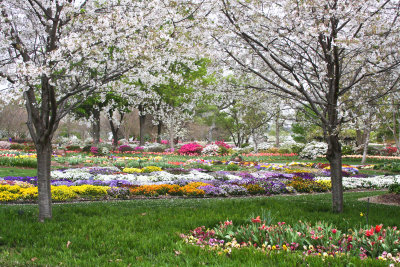 Welcome to the Dallas Arboretum