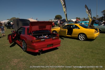 DSC_6685.jpg
