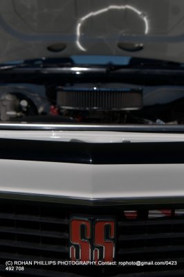 DSC_6771.jpg