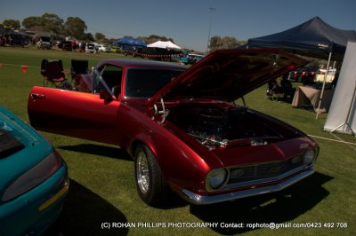 DSC_6782.jpg