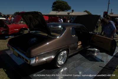 DSC_6795.jpg