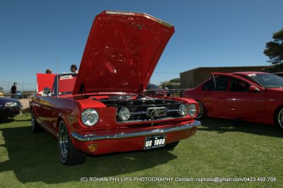 DSC_6853.jpg