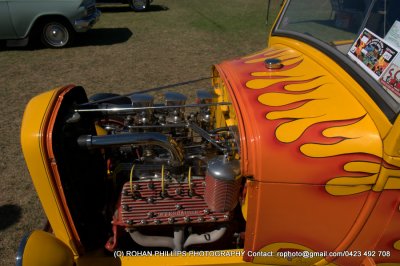 DSC_6919.jpg